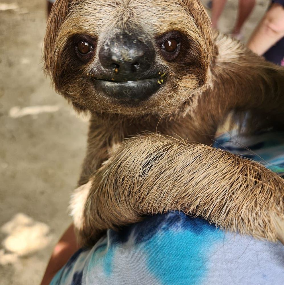 Meet your Posher, Cindy